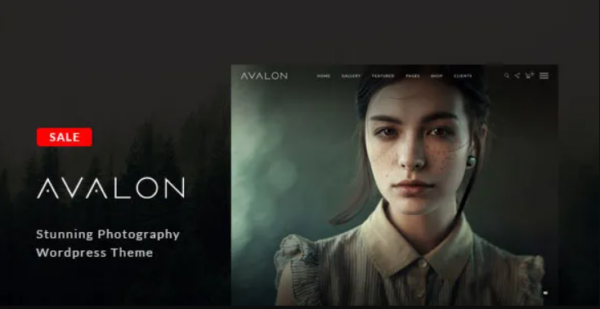 Avalon v1.0.8.4 Photography and Portfolio WordPress Theme