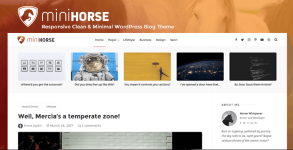 MiniHorse – Responsive Clean & Minimal WordPress Blog Theme