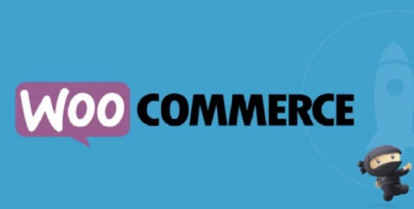 Woocommerce Extension – LifterLMS