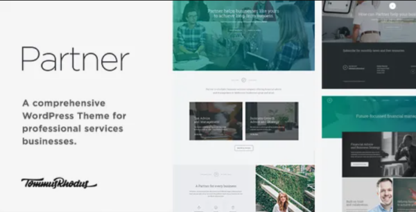 Partner v1.0.4 Accounting and Law Responsive WordPress Theme