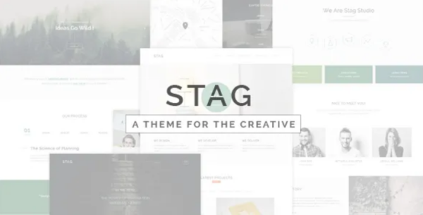 Stag v1.7 Portfolio Theme for Freelancers and Agencies