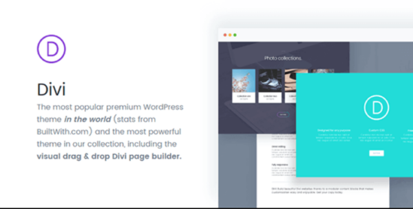 Divi – Ultimate Multi-Purpose Theme+ API Key