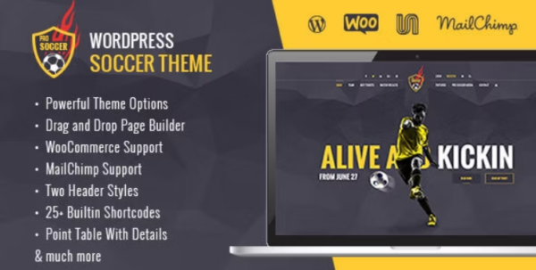 Soccer Acumen - Football Club WordPress Theme 1.1